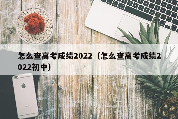 怎么查高考成绩2022（怎么查高考成绩2022初中）