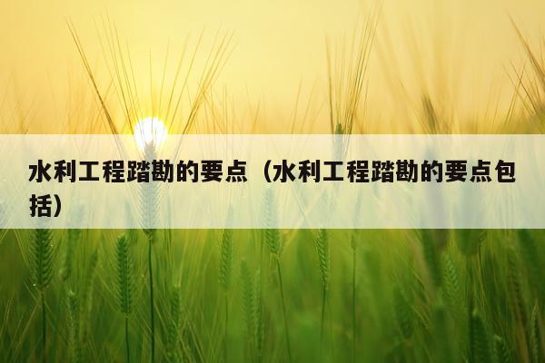 水利工程踏勘的要点（水利工程踏勘的要点包括）