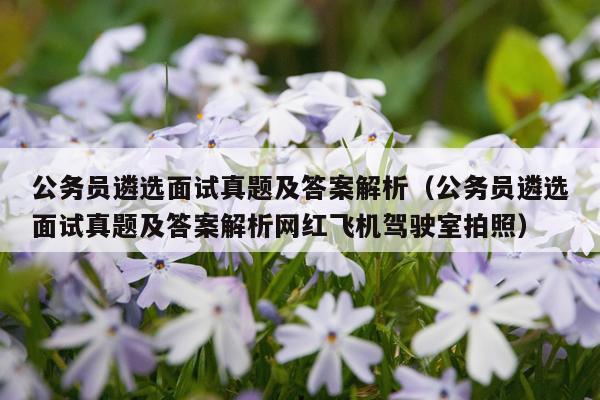 公务员遴选面试真题及答案解析（公务员遴选面试真题及答案解析网红飞机驾驶室拍照）