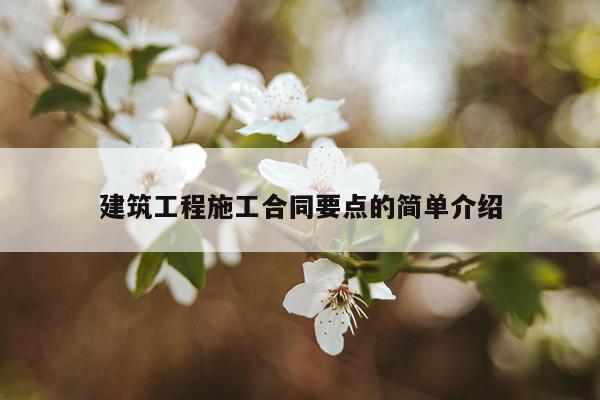 建筑工程施工合同要点的简单介绍