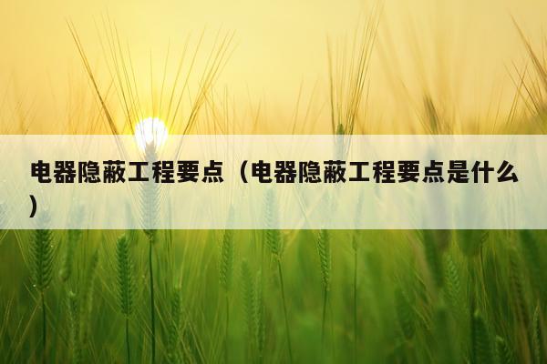 电器隐蔽工程要点（电器隐蔽工程要点是什么）