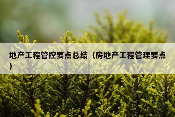 地产工程管控要点总结（房地产工程管理要点）
