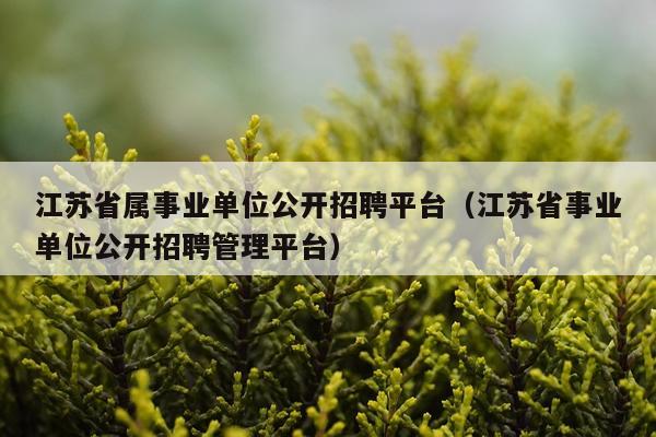 江苏省属事业单位公开招聘平台（江苏省事业单位公开招聘管理平台）