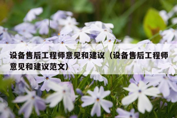 设备售后工程师意见和建议（设备售后工程师意见和建议范文）