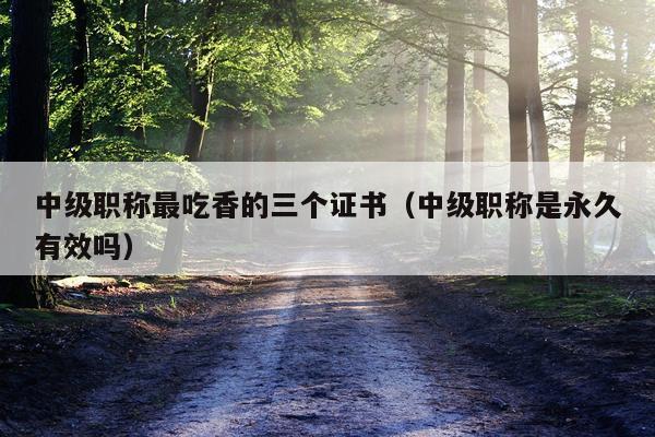 中级职称最吃香的三个证书（中级职称是永久有效吗）