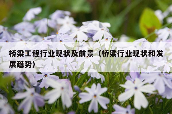 桥梁工程行业现状及前景（桥梁行业现状和发展趋势）
