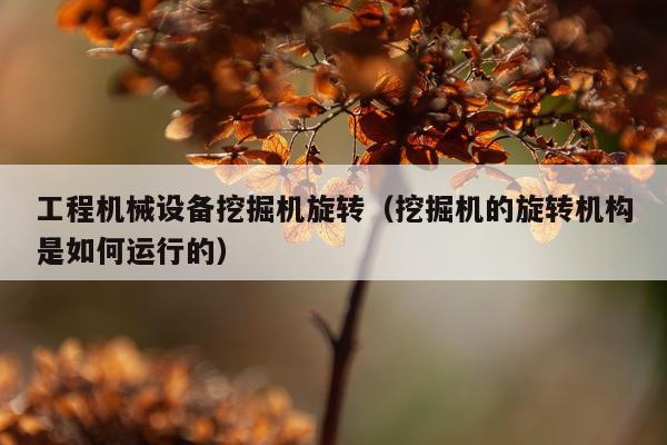 工程机械设备挖掘机旋转（挖掘机的旋转机构是如何运行的）