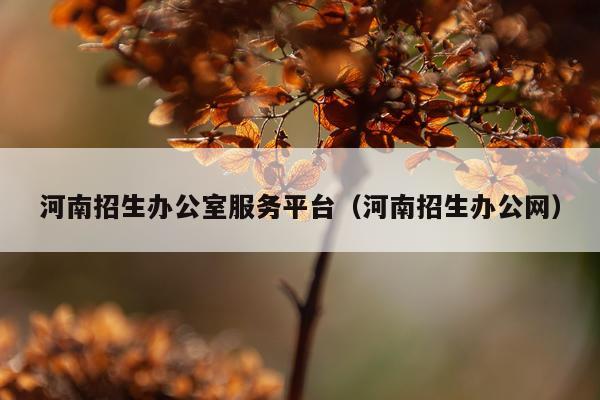 河南招生办公室服务平台(河南招生办公网)