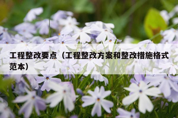 工程整改要点（工程整改方案和整改措施格式范本）
