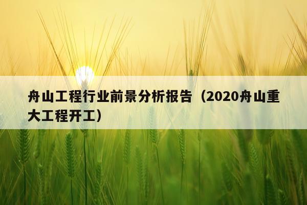 舟山工程行业前景分析报告（2020舟山重大工程开工）