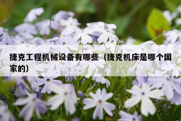 捷克工程机械设备有哪些（捷克机床是哪个国家的）