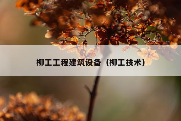柳工工程建筑设备（柳工技术）