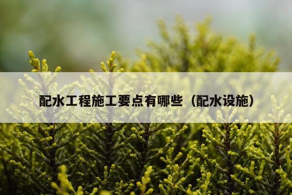 配水工程施工要点有哪些（配水设施）