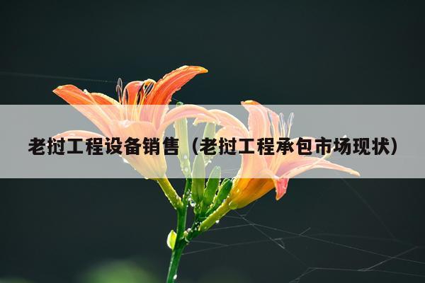 老挝工程设备销售（老挝工程承包市场现状）