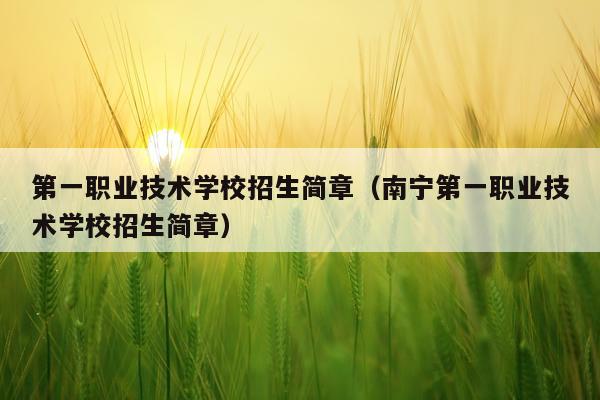 第一职业技术学校招生简章（南宁第一职业技术学校招生简章）
