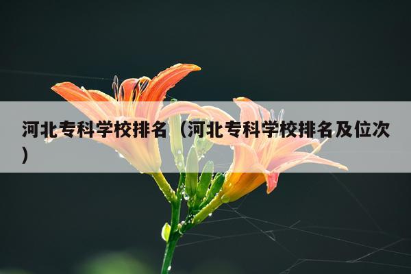 河北专科学校排名（河北专科学校排名及位次）