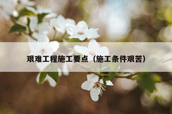 艰难工程施工要点（施工条件艰苦）