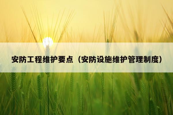 安防工程维护要点（安防设施维护管理制度）