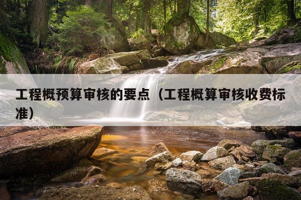 工程概预算审核的要点（工程概算审核收费标准）