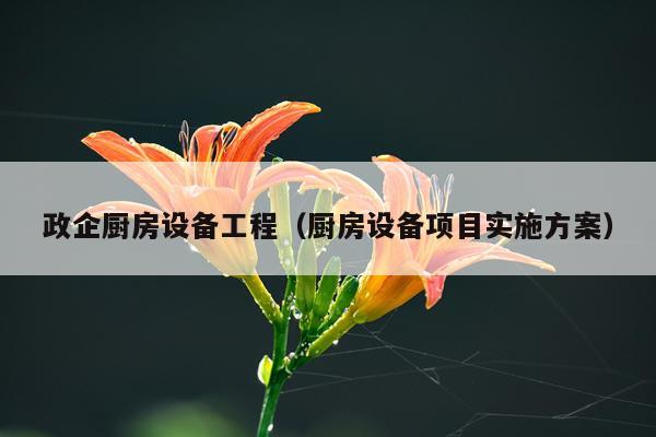 政企厨房设备工程（厨房设备项目实施方案）