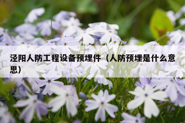 泾阳人防工程设备预埋件（人防预埋是什么意思）