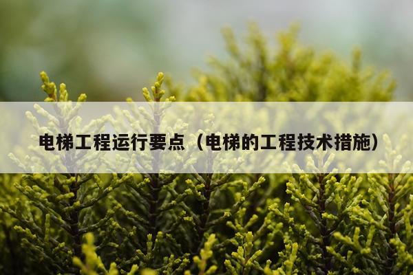 电梯工程运行要点（电梯的工程技术措施）