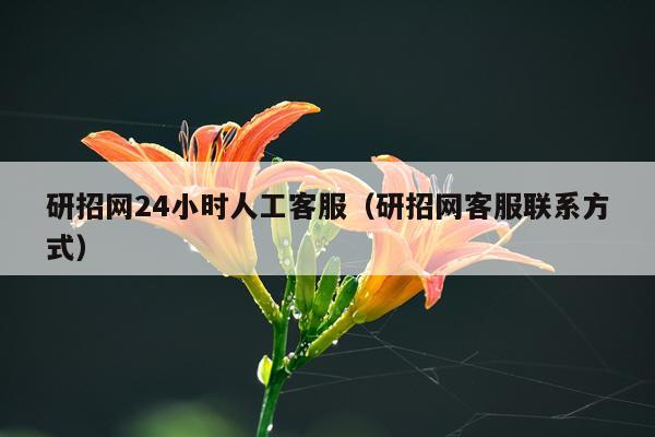 研招网24小时人工客服（研招网客服联系方式）