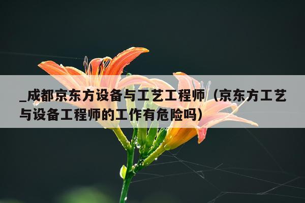 _成都京东方设备与工艺工程师（京东方工艺与设备工程师的工作有危险吗）