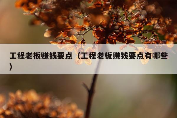 工程老板赚钱要点（工程老板赚钱要点有哪些）