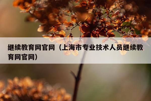 继续教育网官网（上海市专业技术人员继续教育网官网）