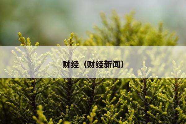 财经（财经新闻）