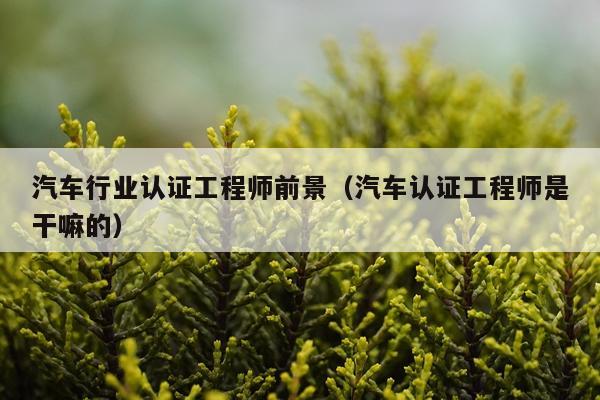 汽车行业认证工程师前景（汽车认证工程师是干嘛的）