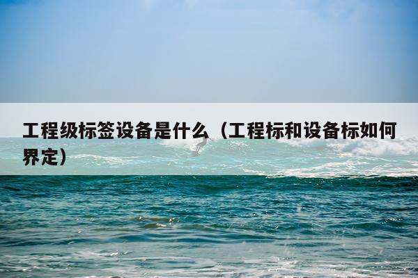 工程级标签设备是什么（工程标和设备标如何界定）
