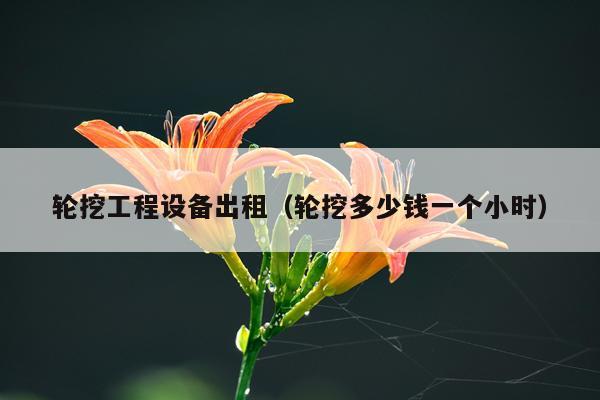 轮挖工程设备出租（轮挖多少钱一个小时）