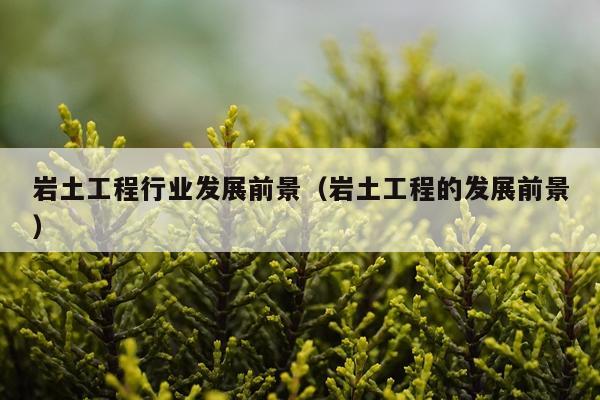 岩土工程行业发展前景（岩土工程的发展前景）
