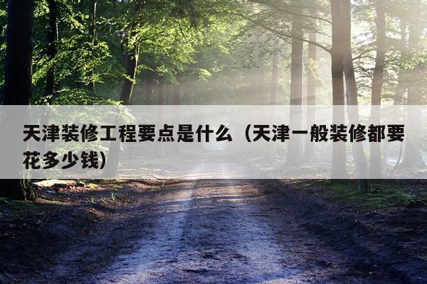 天津装修工程要点是什么（天津一般装修都要花多少钱）