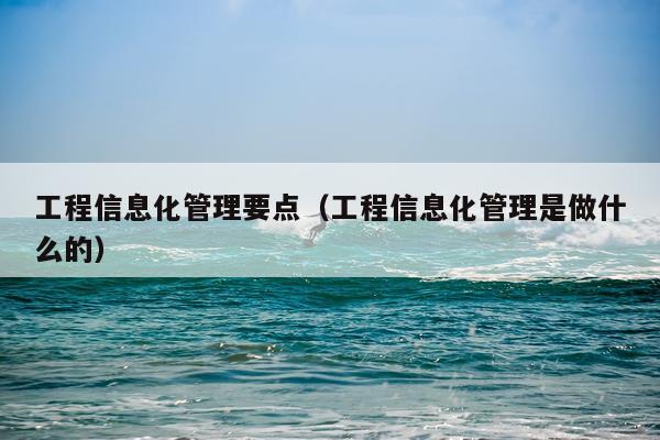 工程信息化管理要点（工程信息化管理是做什么的）