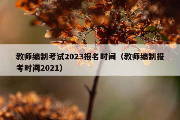 教师编制考试2023报名时间(教师编制报考时间2021)