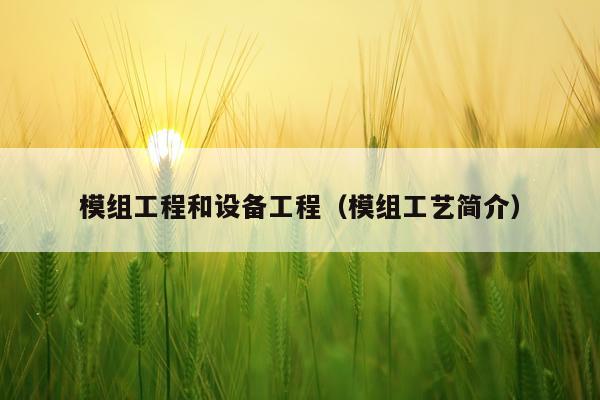 模组工程和设备工程(模组工艺简介)