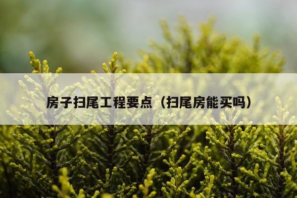 房子扫尾工程要点（扫尾房能买吗）