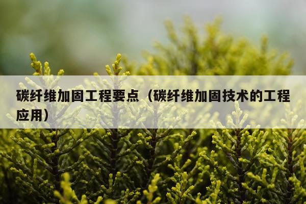 碳纤维加固工程要点（碳纤维加固技术的工程应用）