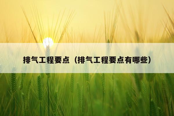 排气工程要点（排气工程要点有哪些）