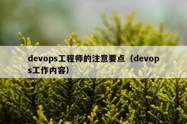 devops工程师的注意要点（devops工作内容）