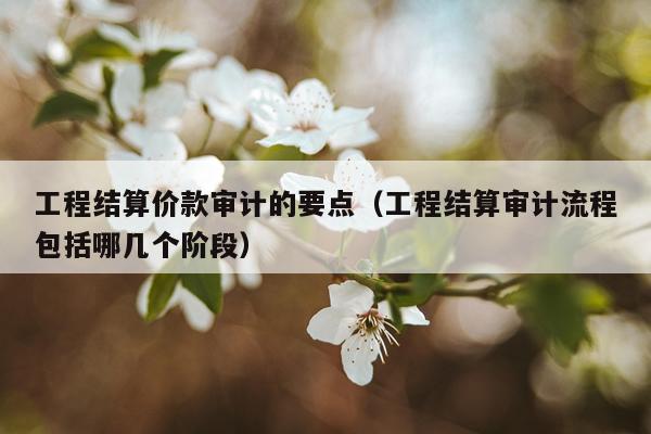 工程结算价款审计的要点（工程结算审计流程包括哪几个阶段）