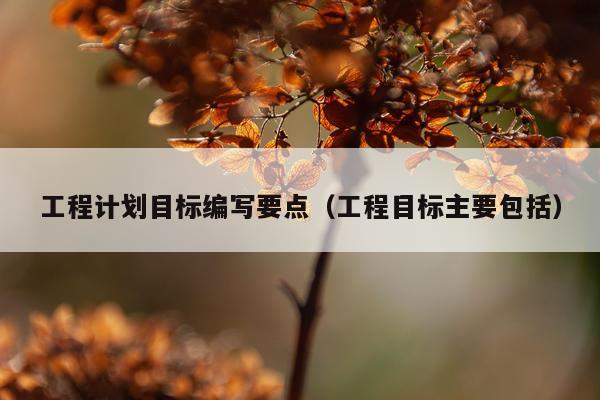 工程计划目标编写要点（工程目标主要包括）