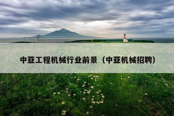 中亚工程机械行业前景（中亚机械招聘）