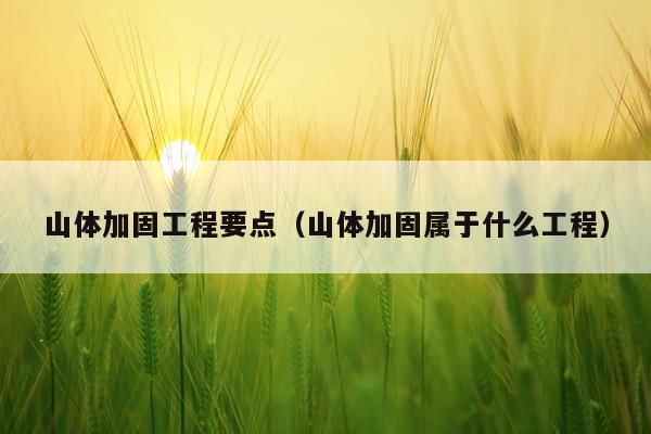 山体加固工程要点（山体加固属于什么工程）
