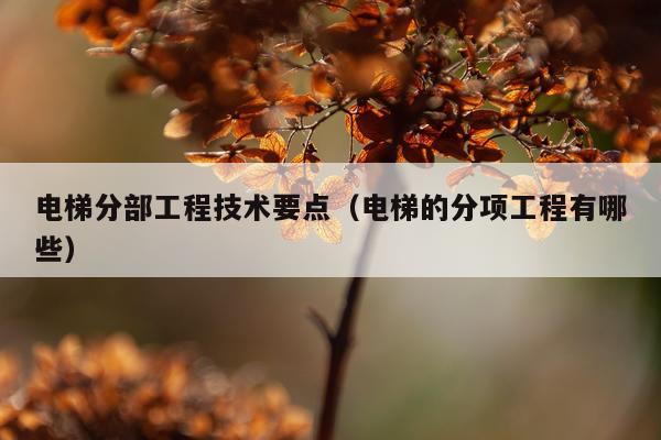 电梯分部工程技术要点（电梯的分项工程有哪些）