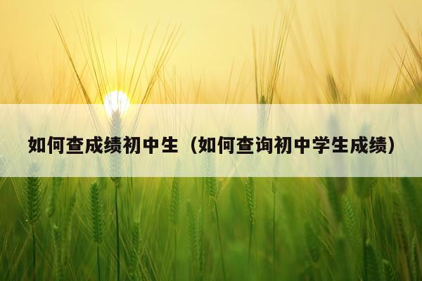 如何查成绩初中生（如何查询初中学生成绩）
