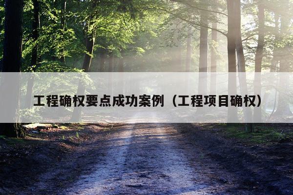 工程确权要点成功案例（工程项目确权）